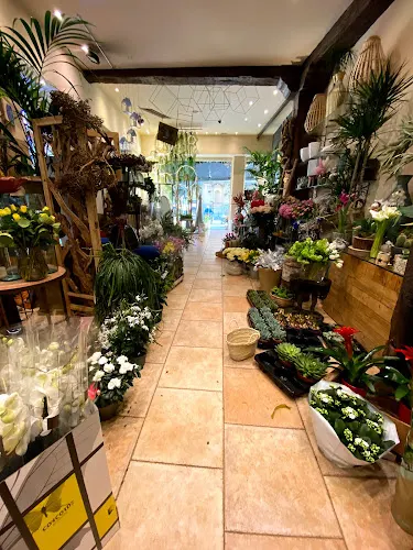Floristeria y Decoración floral Villaflores
