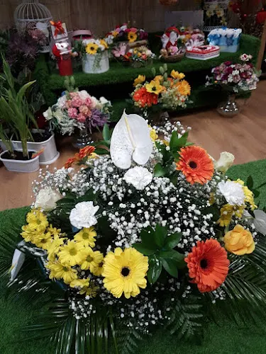 D-Flowers - Fraga