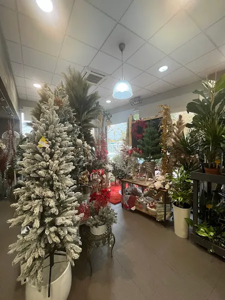 FLORISTERIA BONSAI - Fraga