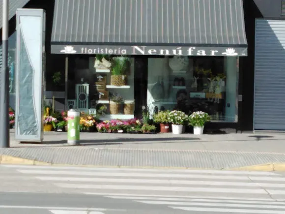 Floristería Nenúfar - Binefar