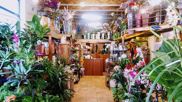 Floristeria Alles - Ciutadella de Menorca