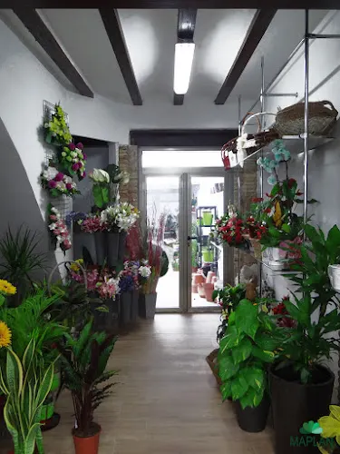 Maplan - flores y plantas