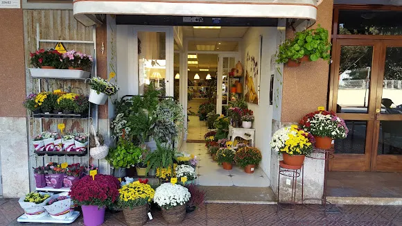 Es Girasol Floristería - Mao