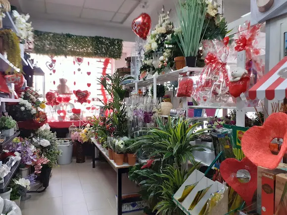 Floristería el Puente - Puente de Genave