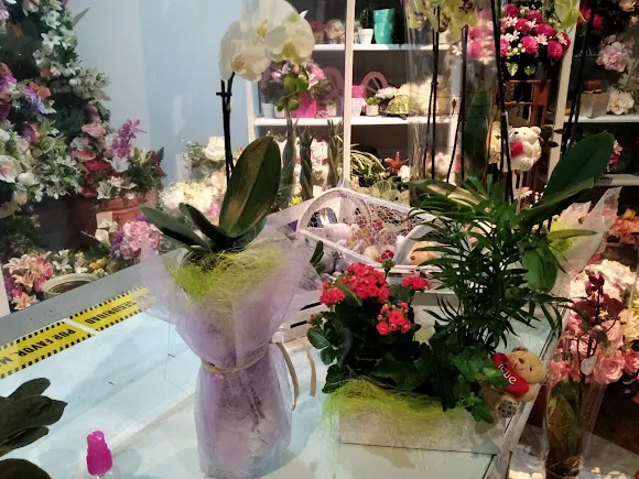Floristería Romero - Sabiote