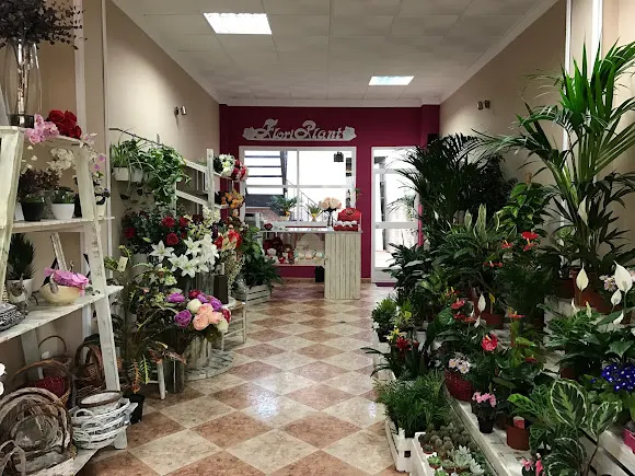Floristería FloriPlant - Lopera