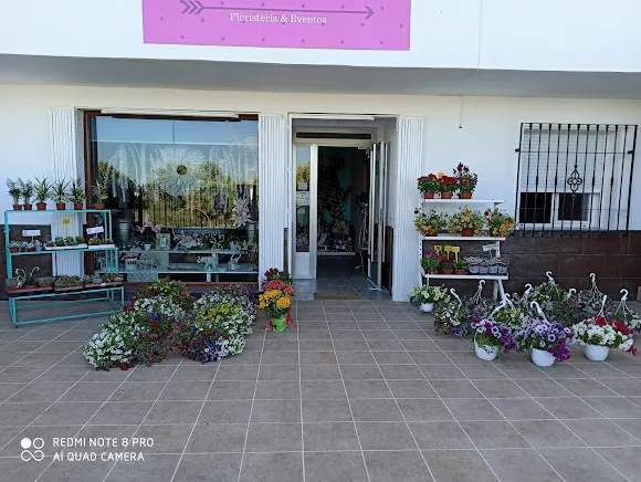 LAGUNA FLORAL (Mar de Flores) - Pozo Alcon