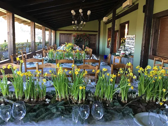 Floristería Mandragora | Especialistas en tocados de boda y coronas de comunión - Pradejon