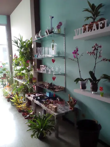 Floristería Villaflor - Moya