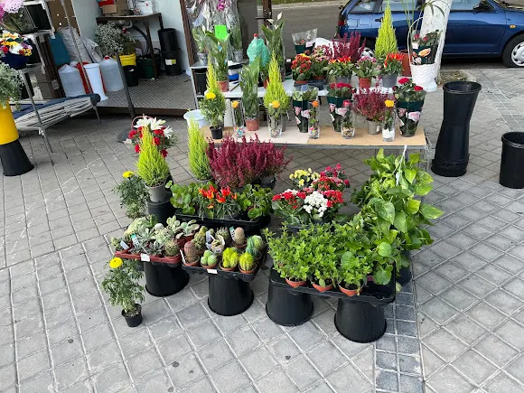 Floristeria la Joyita - Madrid