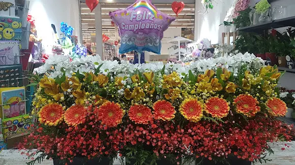 Floristeria Ecuaflor Madrid - Leganes. - Leganés