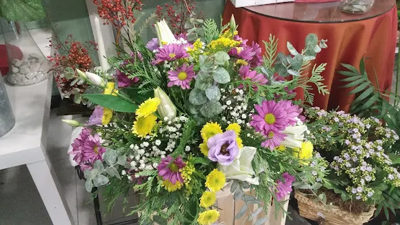 Paco Sanz Flores Plantas, Flores con ingenio - San Sebastián de los Reyes
