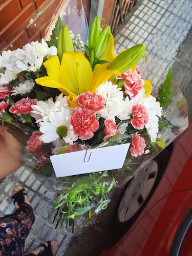 FLORISTERÍA LOS VEROLES - Arrecife