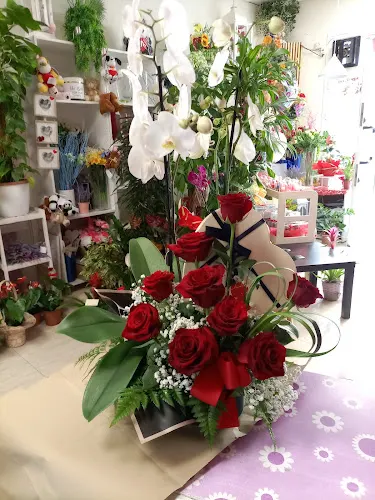 FLORISTERÍA JACARANDA EVENTI - La Oliva