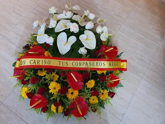 Novia Flor - Arrecife