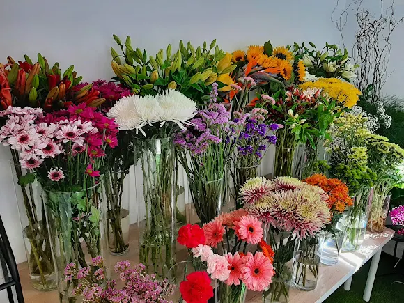 Floristería Erbania - La Oliva