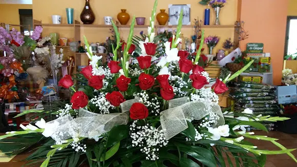 Flores Carmen - Valderas