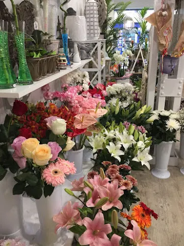 Floristería Musgo - León