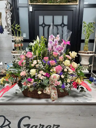 Garez Floristas - León