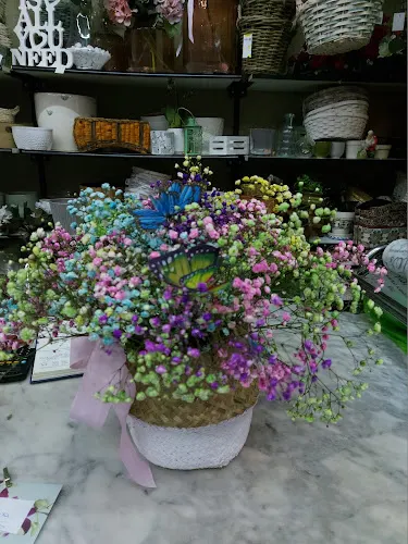 Floristeria Violetas - León