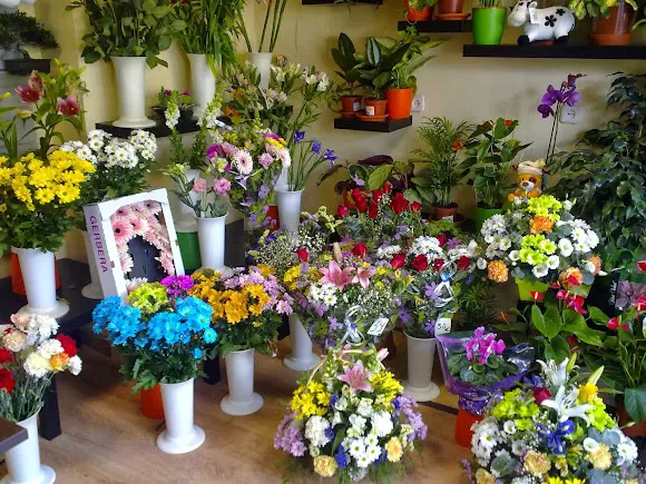 Floristería El Edén - Madrid