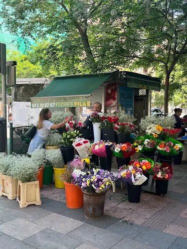 Flores Pilar - Madrid