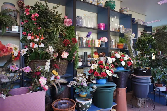 Floristería Mariangeles - San Andres del Rabanedo
