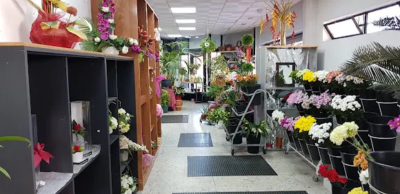 Florería y Floristería | Serviflor24horas - Valdemoro