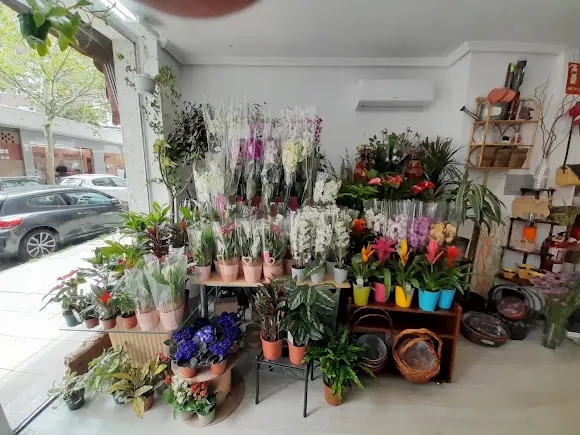 FLORISTERÍA MI LOCURA - Madrid