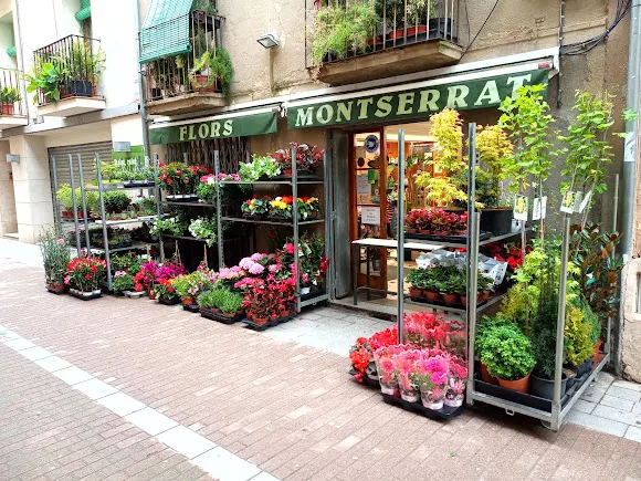 Flors Montserrat