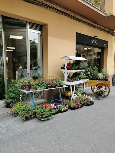 SAÜC Art Floral i Decoració.