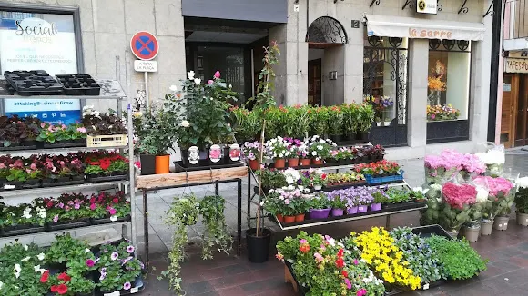 Floristeria La Serra