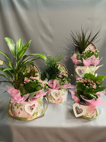 Floristería y Animales Naturviva