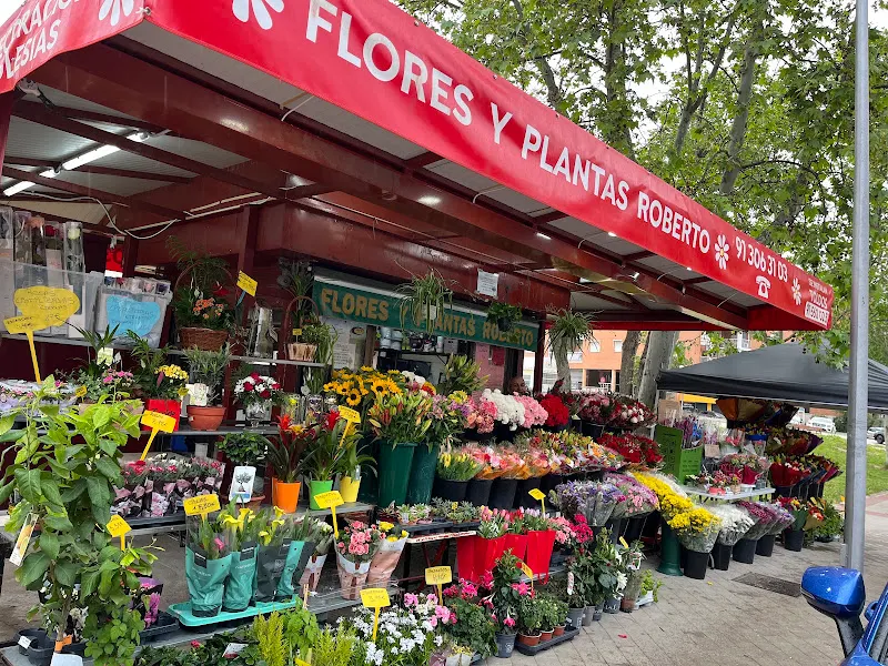 flores y plantas roberto - Madrid