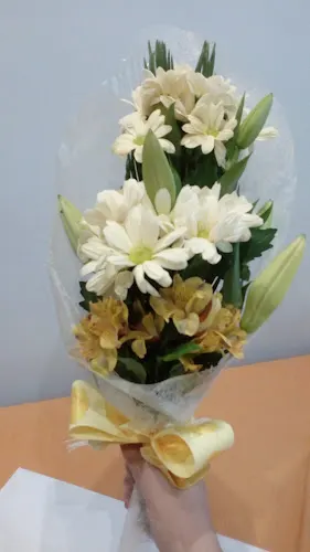 Azucena Floristería - Burela