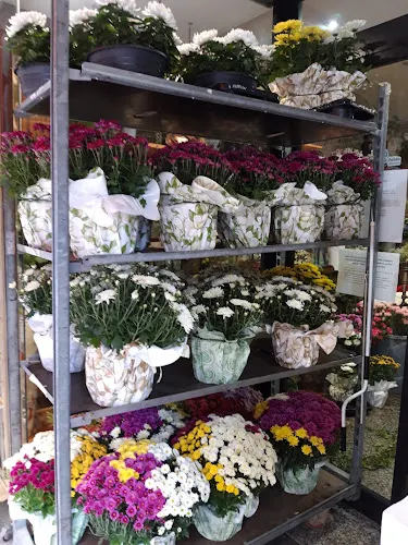Floristería Camiño - Chantada