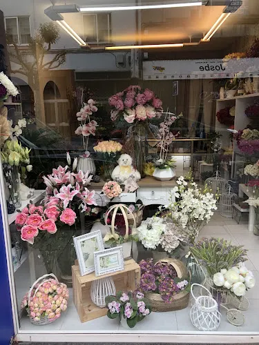 Floristería Kenia - Lugo