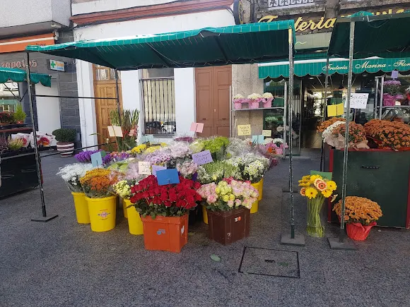 Floristería Marina - Chantada