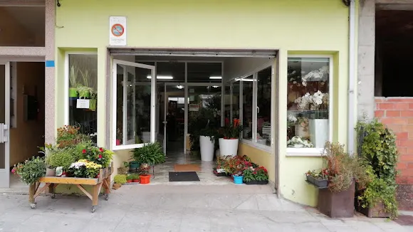 Floristería Divina - Monterroso
