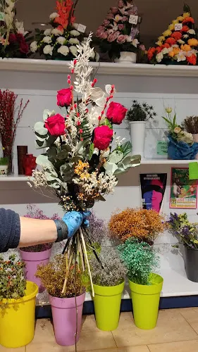 JANEIRO FLORISTERIA - Lugo