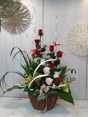 Floristería Candea - Lugo