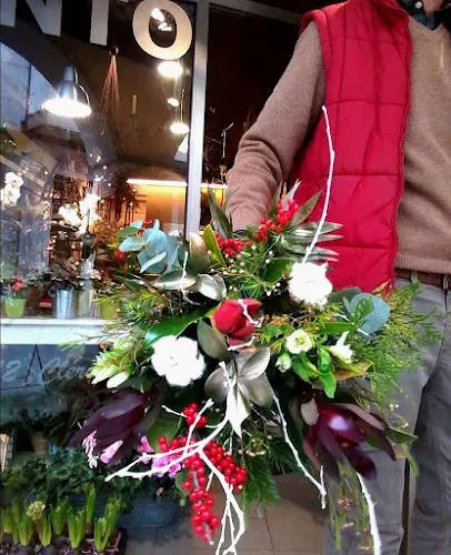 Fento Floraría - Lugo