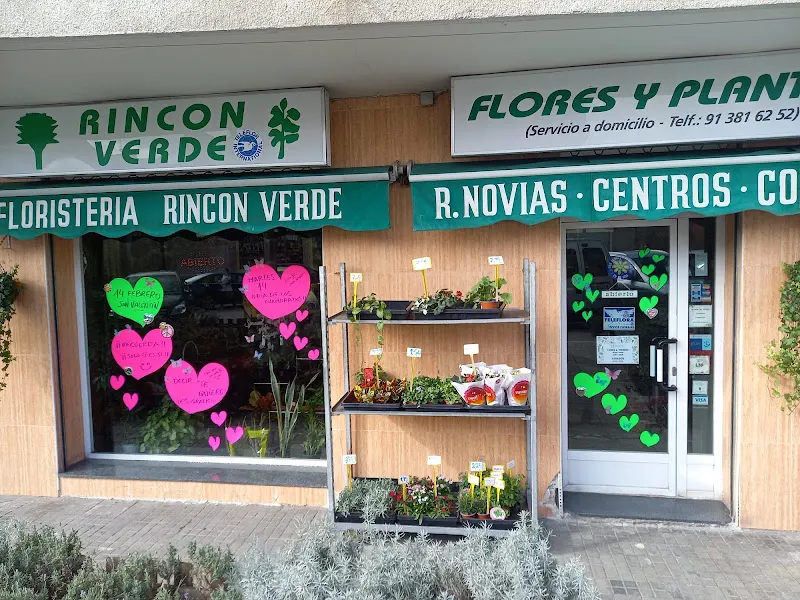 El Rincón Verde - Madrid