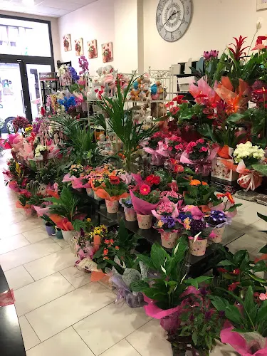 Atrium Floristería - Lugo