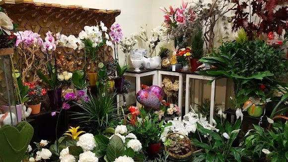 Les Bouquets Fleuristerie - Madrid