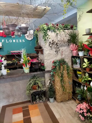 Floristería Santino