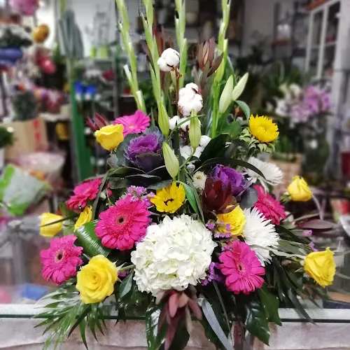 García-Morato Floristas