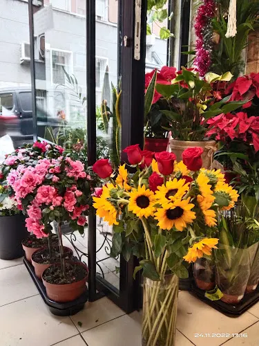 Flores y Plantas Moreno - Madrid