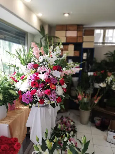Floristas El Paraíso