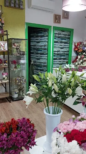Floristería Géminis - Navalcarnero